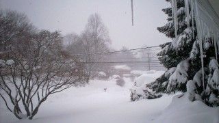 Fot. Andrea / Flickr