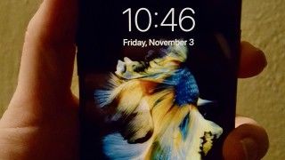 Fot. Gregory Varnum/Wikipedia Commons/CC 4.0