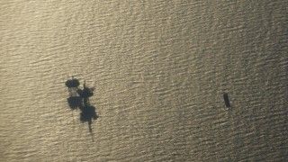 Fot. duncan c/flickr.com