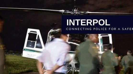 <p>Fot. INTERPOL</p>