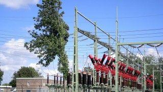 Fot. Udo Ockema/Wikipedia Commons/CC 3.0