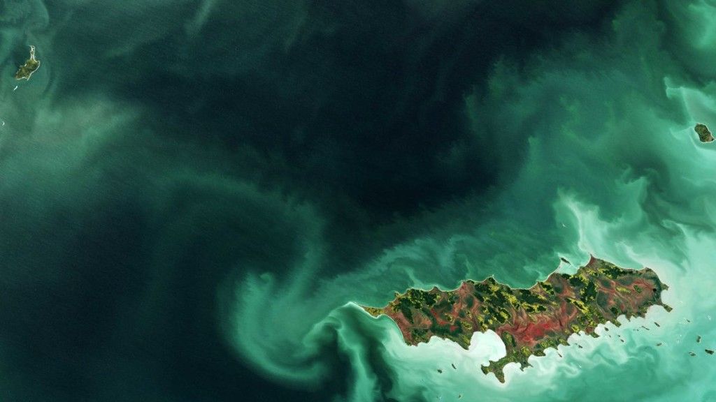 Zakwit cyjanobakterii u wybrzeży Reindeer Island w Kanadzie. Fot. ESA