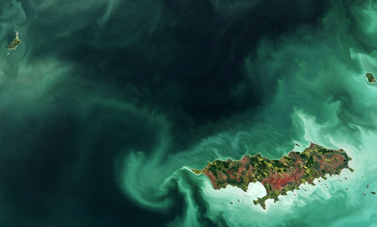 Zakwit cyjanobakterii u wybrzeży Reindeer Island w Kanadzie. Fot. ESA