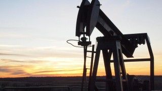 Fot. Jasper Morse / Flickr