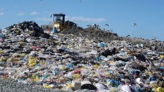  Fot.: Samuel Mann/Flickr