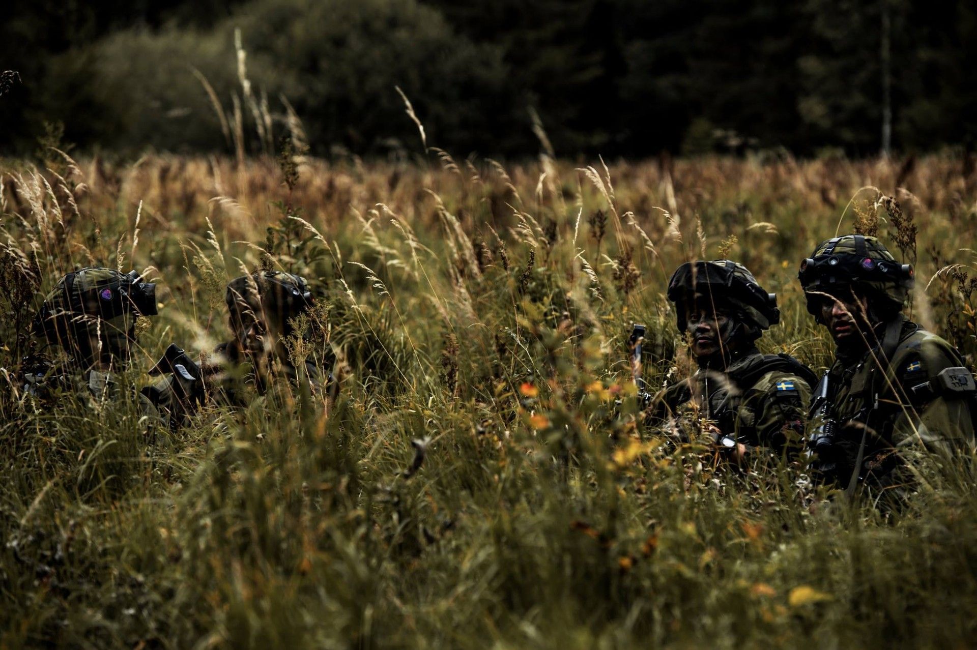 Fot. Försvarsmakten/Facebook
