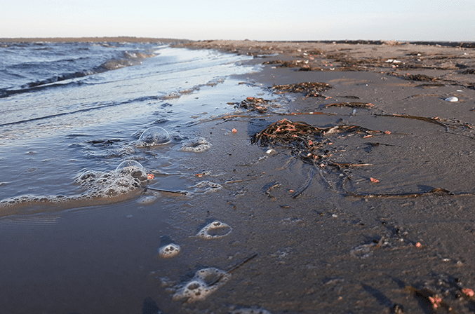 Grudki smaru na niemieckich plażach; Źródło: Greenpeace