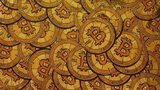 Fot. Stock Catalog/Flickr/CC 2.0