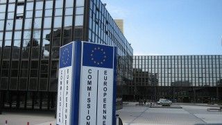 Fot. Zinneke/Wikipedia Commons/CC 3.0