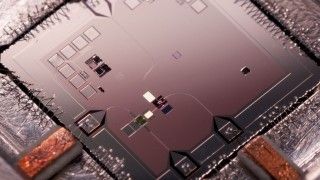 Fot. Erik Lucero/Wikipedia Commons/CC 3.0