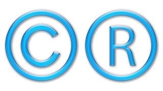 FOT. PUBLICDOMAINPICTURES/ PIXABAY