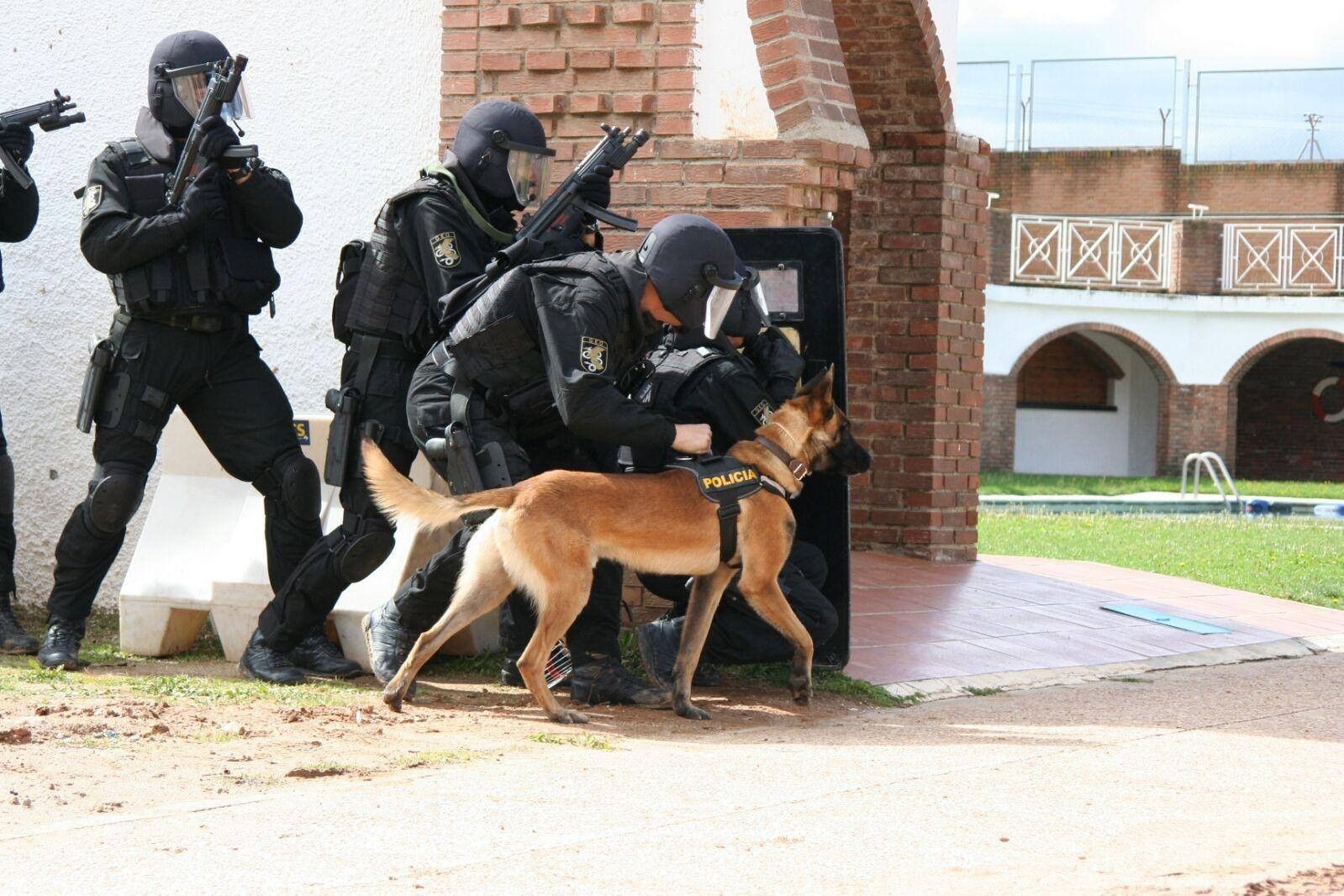 Fot. Policia Nacional (Hiszpania), oficjalny Facebook.
