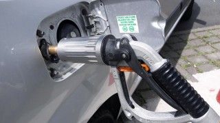 Fot.: commons.wikimedia.org