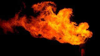 Fot.: Bryce Bradford, Flickr.com