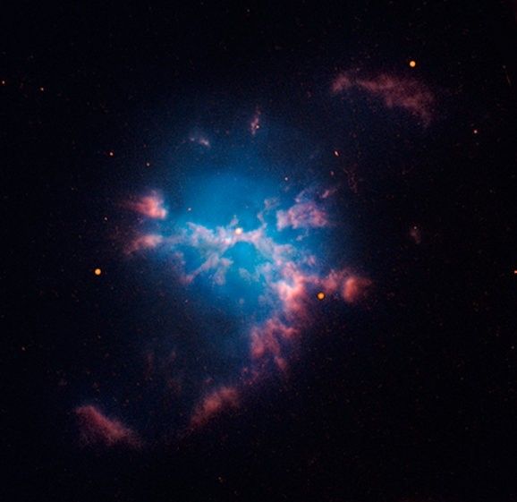Mgławica planetarna M 3-1 w obiektywie Hubble Space Telescope. Źródło: David Jones / Daniel López – IAC