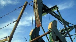 Fot. Heidi De Vries / Flickr