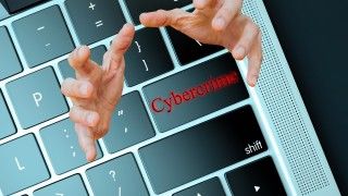 Fot. Kai Stachowiak/publicdomainpictures/Domena publiczna