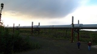 Fot. schizoform / Flickr