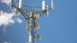 Fot. PublicDomainImages/Pixabay