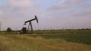 Fot. Amanda / Flickr