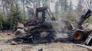 Fot. Lasy Państwowe