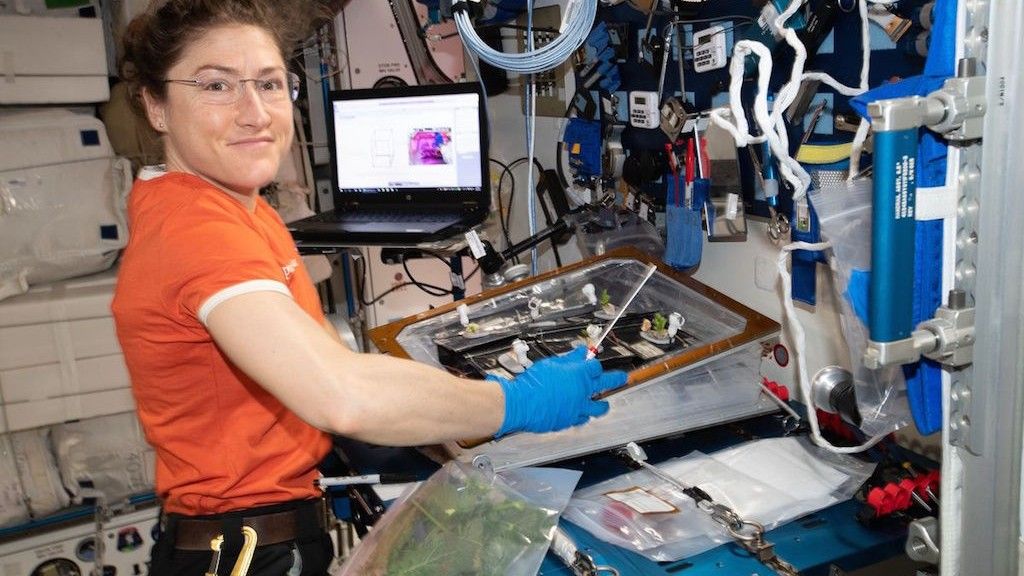Astronautka Christina Koch na pokładzie ISS. Fot. NASA