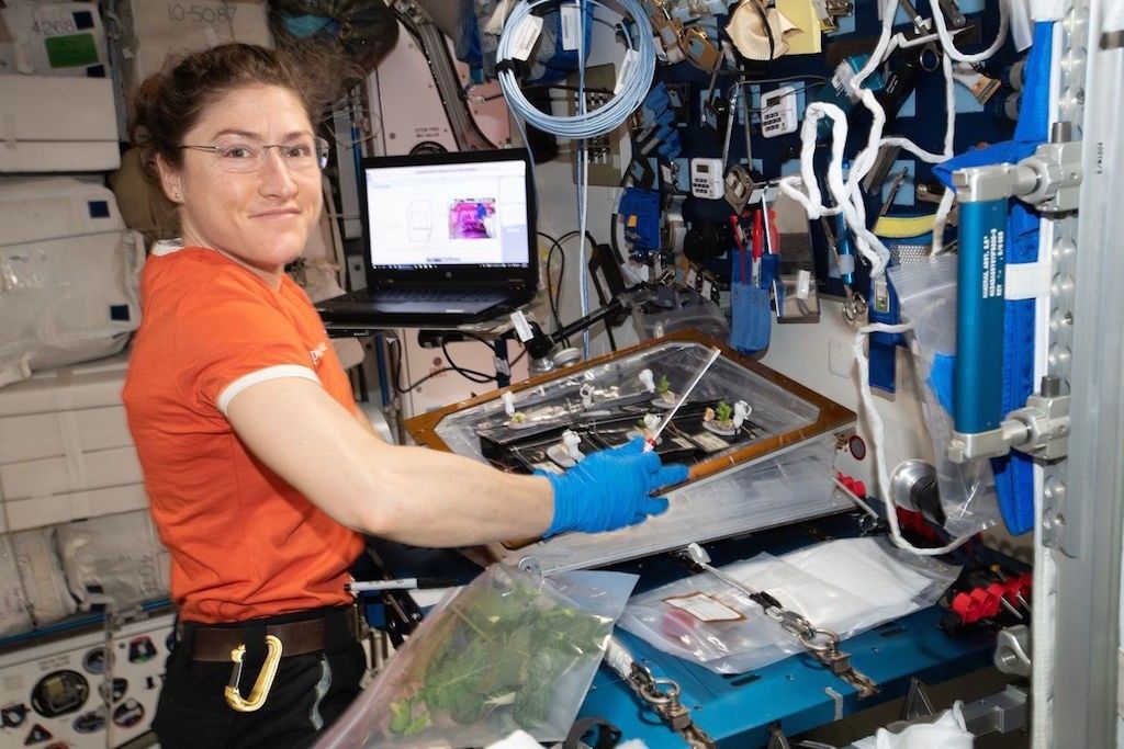 Astronautka Christina Koch na pokładzie ISS. Fot. NASA