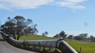 Fot. Michael Coghlan / Flickr