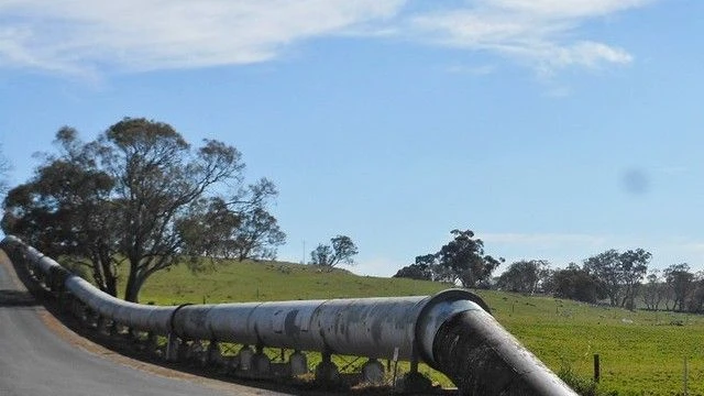 Fot. Michael Coghlan / Flickr
