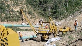 Fot. vicki watkins / Flickr