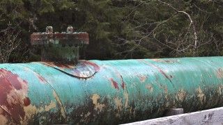 Fot. Joseph / Flickr / ilustracyjne