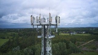 Fot. FabianHorst / Wikimedia Commons