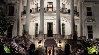 fot. 12019 / pixabay