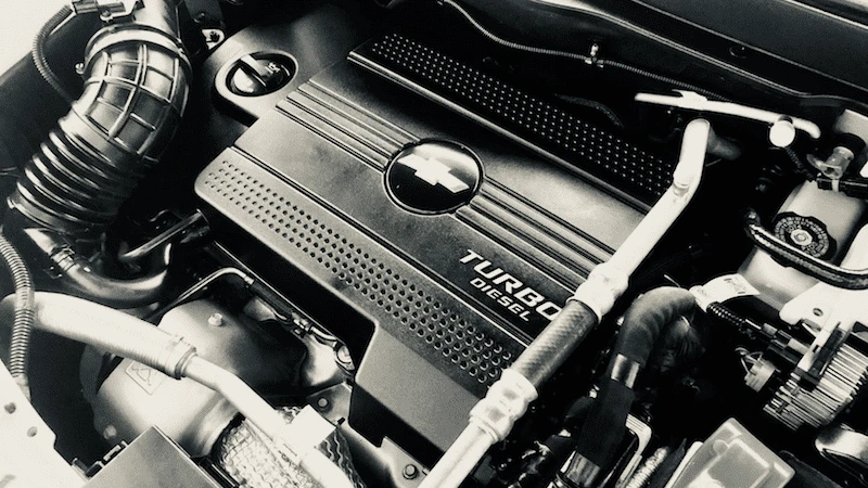 Fot.: Pexels