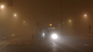 Fot.: wikimedia.commons.org