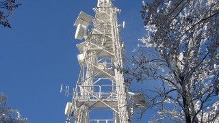 Fot. Mirek256/Wikipedia Commons/CC 4.0