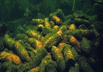 Dno Bałtyku – największym zagrożeniem wraki