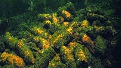 Podwodne składowisko amunicji. Fot. International Dialogue on Underwater Munitions/ https://underwatermunitions.org