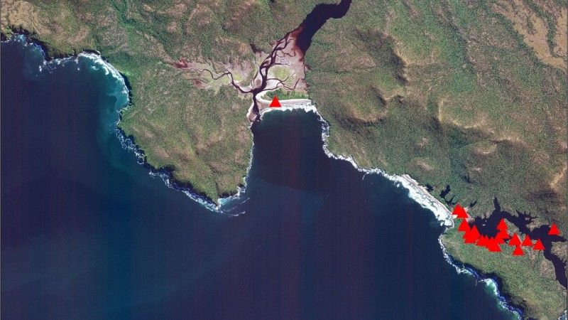 Miejsce odkrycia padłych wielorybów na wybrzeżu Chile. Fot. DigitalGlobe-Maxar Technologies [journals.plos.org]