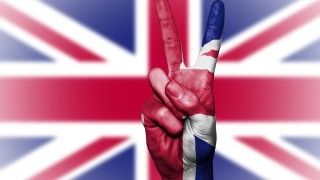 fot. Public_Domain_Photography / pixabay