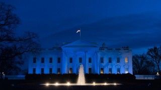 fot. Jean Beaufort / needpix