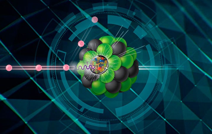 Ilustracja: Brookhaven National Laboratory [bnl.gov]