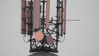 Fot. PIX1861/Pixabay