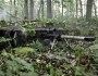 TOR Sniper Rifle