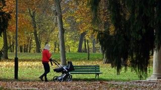 Fot. Babij/Flick/CC 2.0