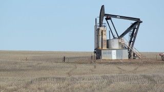 Fot. Lindsey G / Flickr