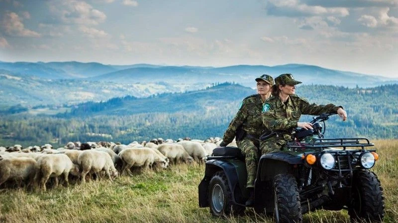 Fot. Śląski Oddział Straży Granicznej
