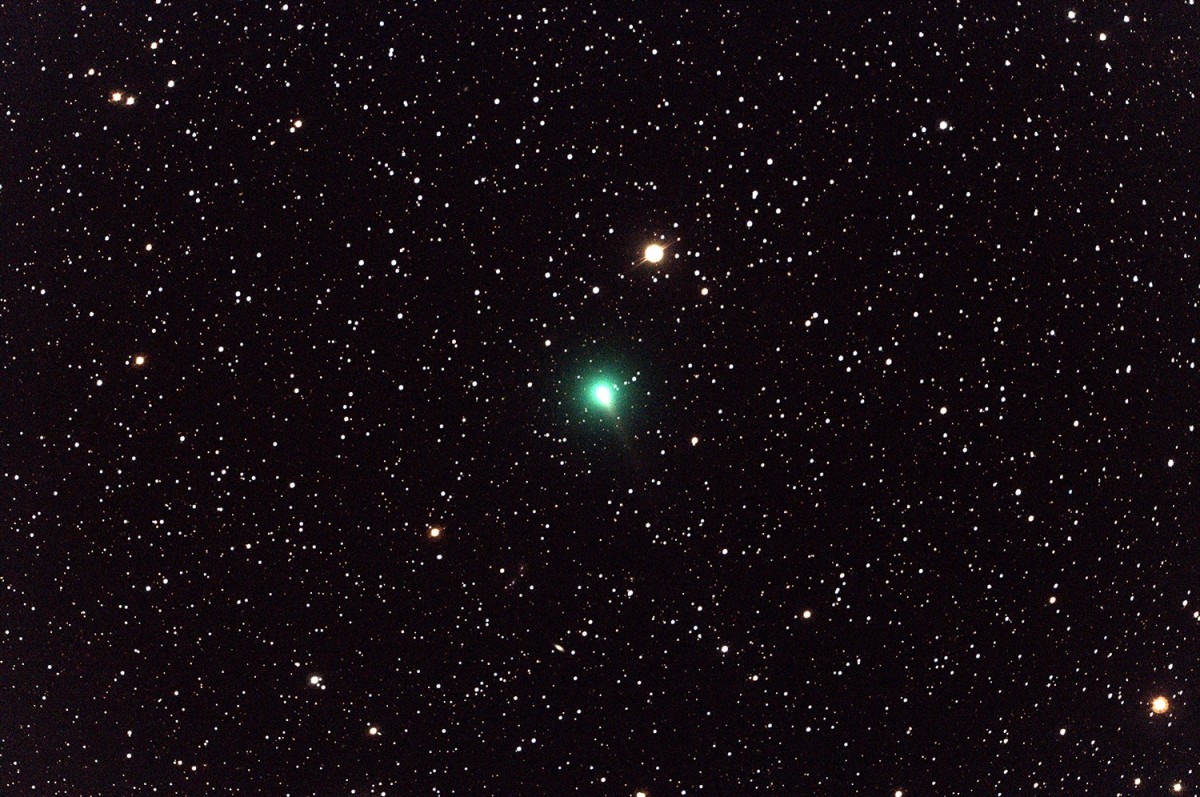 Kometa C/2019 Y4 (ATLAS) jeszcze w całości. Fot. NASA/Tiffany Clements [nasa.gov]