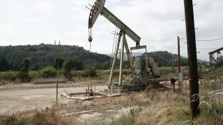 Fot. brewbooks / Flickr