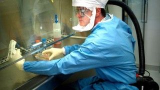 Fot. James Gathany/Pixnio/CC0